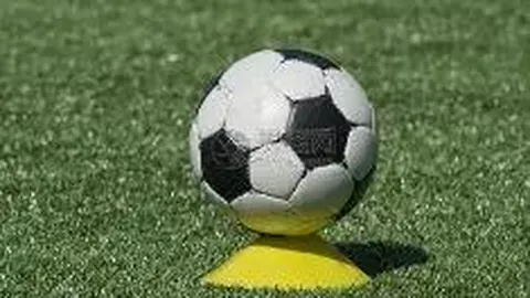 林总析京都不死鸟VS名古屋鲸八日职联前瞻